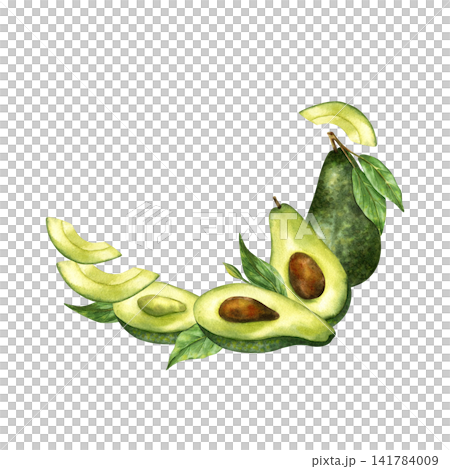 Watercolor avocado half wreath. Hand painted illustration botanical green design with ripe avocado fruits. Semicircle frame for food design, greeting cards, packaging. Isolated on white background Watercolor avocado half wreath. Hand painted illustration botanical green design with ripe avocado fruits. Semicircle frame for food design, greeting cards, packaging. Isolated on white background 141784009