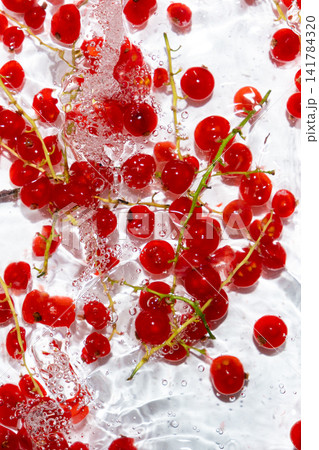 Top view of fresh red currants splashing in clean water, summer background Top view of fresh red currants splashing in clean water, summer background 141784320