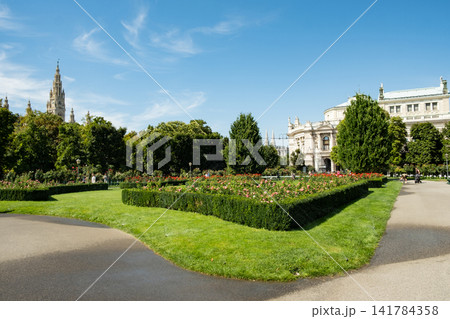 Beautiful Rose Garden in Vienna Volksgarten Park on Sunny Summer Day 141784358