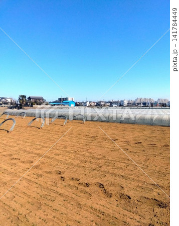 首都圏近郊の晩冬の足跡のある野菜畑風景 首都圏近郊の晩冬の足跡のある野菜畑風景 141784449