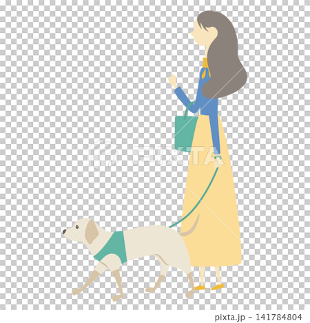 犬の散歩をしている女性 141784804