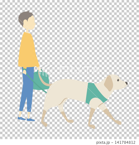 犬の散歩をしている男の子 犬の散歩をしている男の子 141784812