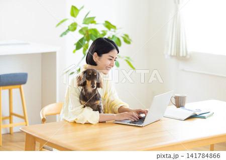 テレワーク 犬を抱っこしながら仕事をする女性 テレワーク 犬を抱っこしながら仕事をする女性 141784866