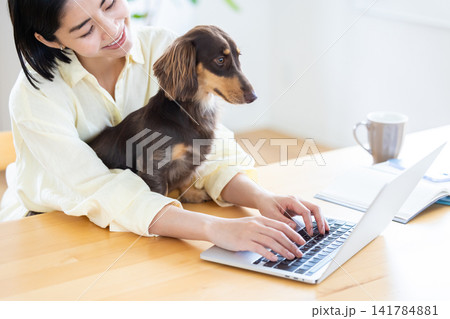 テレワーク 犬を抱っこしながら仕事をする女性 テレワーク 犬を抱っこしながら仕事をする女性 141784881