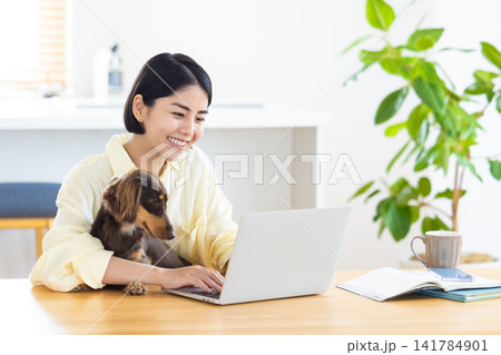 テレワーク　犬を抱っこしながら仕事をする女性 141784901