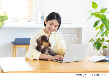 テレワーク 犬を抱っこしながら仕事をする女性 テレワーク 犬を抱っこしながら仕事をする女性 141784903