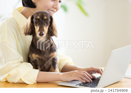 テレワーク 犬を抱っこしながら仕事をする女性 テレワーク 犬を抱っこしながら仕事をする女性 141784909