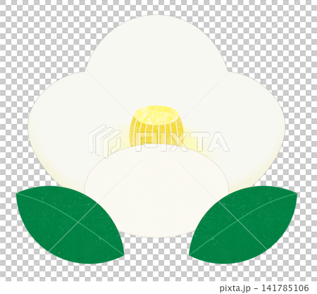 白色山茶花 白色山茶花 141785106