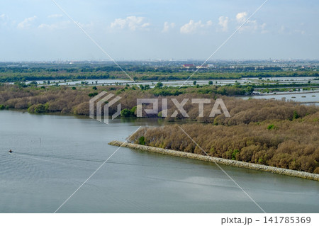 Aerial View of Mangrove Forest Wetland Landscape between natural and man-made elements Aerial View of Mangrove Forest Wetland Landscape between natural and man-made elements 141785369
