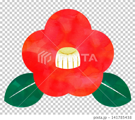 Red camellia Red camellia 141785438