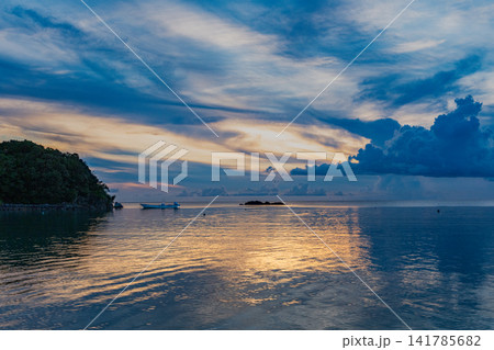 石垣島、海のいけすから跳ねるイルカ 石垣島、海のいけすから跳ねるイルカ 141785682