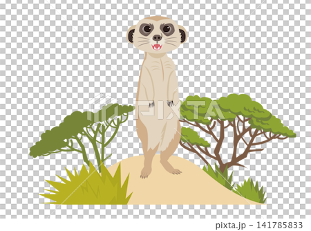 非洲動物狐獴 非洲動物狐獴 141785833