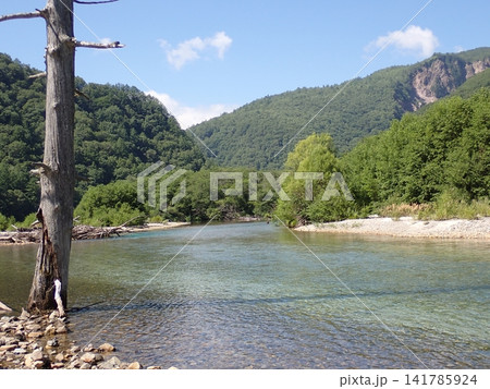 盛夏の上高地/大正池 盛夏の上高地/大正池 141785924