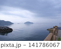 ほしのビーチからの海 141786067