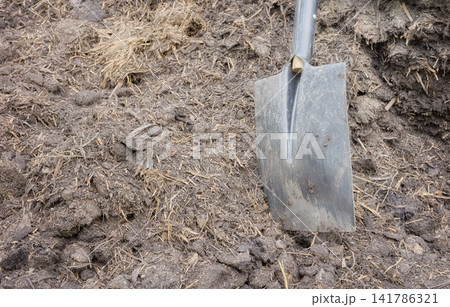 Shovel stuck in a pile of manure to fertilize the soil in the garden, selective focus. Shovel stuck in a pile of manure to fertilize the soil in the garden, selective focus. 141786321