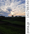 夕暮れ時の田園風景と美しいうろこ雲が広がる空 夕暮れ時の田園風景と美しいうろこ雲が広がる空 141786540