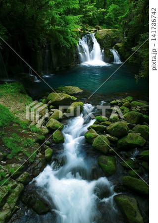 Fresh Green Kikuchi Gorge Waterfall|新緑の菊池渓谷の滝 Fresh Green Kikuchi Gorge Waterfall|新緑の菊池渓谷の滝 141786742