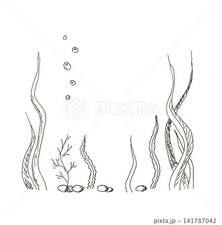 Hand-drawn black and white drawing of algae, sea pebbles, underwater world. Illustration for fishing subjects. Hand-drawn black and white drawing of algae, sea pebbles, underwater world. Illustration for fishing subjects. 141787042