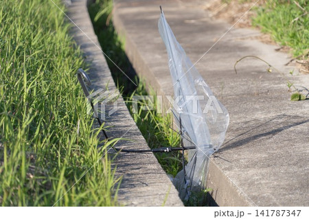 道路脇の側溝に残された壊れた透明傘 道路脇の側溝に残された壊れた透明傘 141787347