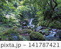 茨城県　不動滝　花貫渓谷 141787421
