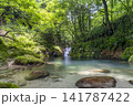 茨城県　不動滝　花貫渓谷 141787422