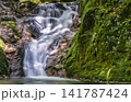 茨城県　不動滝　花貫渓谷 141787424