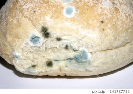 Moldy mould on home made bread roll funus food waste Moldy mould on home made bread roll funus food waste 141787735