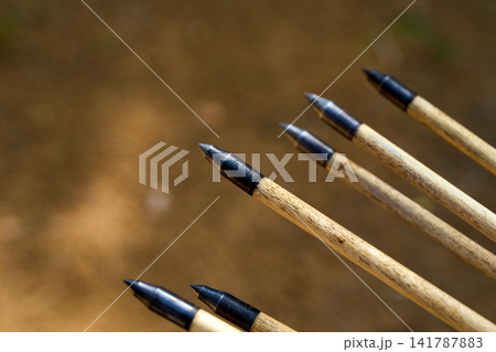 Close-up of traditional wooden archery arrows with metal tips. 141787883