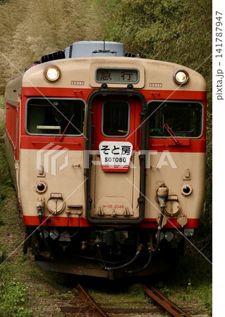 いすみ鉄道キハ28急行そと房 いすみ鉄道キハ28急行そと房 141787947