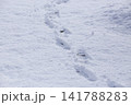 雪景色と足跡 141788283