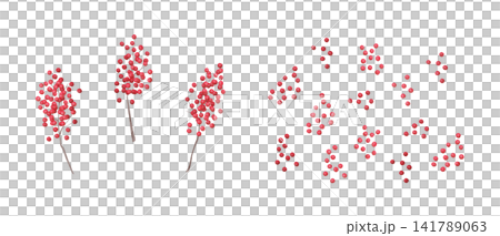 Watercolor illustration - Pepperberry parts Watercolor illustration - Pepperberry parts 141789063