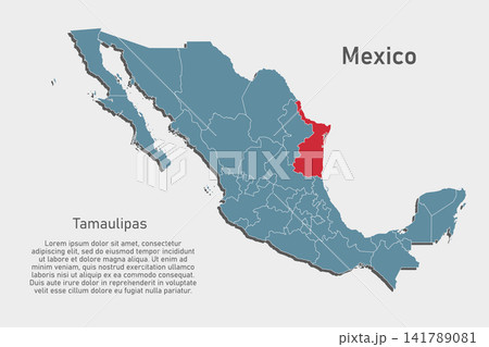Vector map of Mexico - Tamaulipas State Vector map of Mexico - Tamaulipas State 141789081