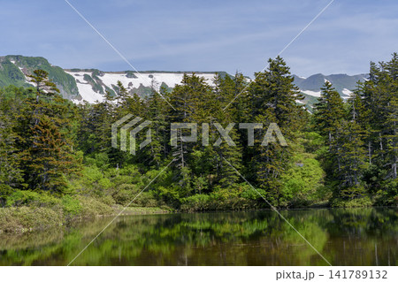 北海道大雪山 大雪高原沼めぐり 緑沼と残雪が彩る初夏の絶景 北海道大雪山 大雪高原沼めぐり 緑沼と残雪が彩る初夏の絶景 141789132