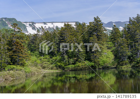 北海道大雪山 大雪高原沼めぐり 緑沼と残雪が彩る初夏の絶景 141789135