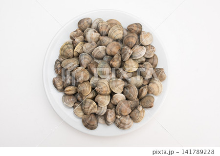 A pile of fresh clams on a white plate, top view, without netting A pile of fresh clams on a white plate, top view, without netting 141789228