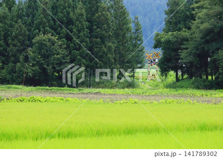 磐越西線「夏の田園風景と森に佇む小さな踏切」 141789302