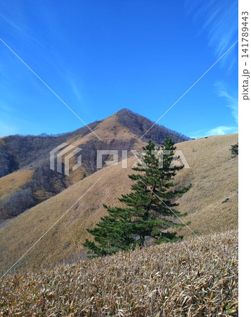 下蒜山登山道の稜線 141789443