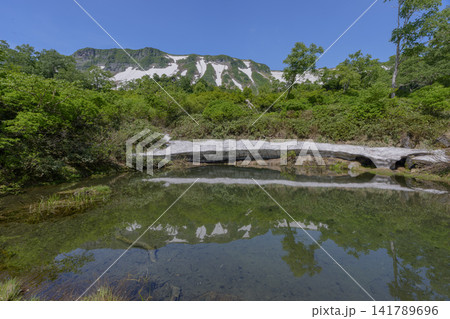 北海道大雪山 大雪高原沼の鴨沼と残雪が織りなす初夏の絶景 北海道大雪山 大雪高原沼の鴨沼と残雪が織りなす初夏の絶景 141789696