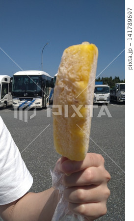 高速道路で食べる美味しいパイナップルアイス 高速道路で食べる美味しいパイナップルアイス 141789697