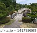 三景園の太鼓橋と石橋 風情ある夏の日本庭園風景 三景園の太鼓橋と石橋 風情ある夏の日本庭園風景 141789865