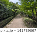 青々とした樹木と木漏れ日が心地よい和風庭園の静かな一本道 青々とした樹木と木漏れ日が心地よい和風庭園の静かな一本道 141789867
