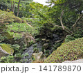 日本庭園の緑豊かな木々と清らかなせせらぎが織りなす和の景観 日本庭園の緑豊かな木々と清らかなせせらぎが織りなす和の景観 141789870