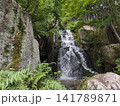 広島県 三原市 三景園の迫力ある三段の滝と巨岩に囲まれた新緑 広島県 三原市 三景園の迫力ある三段の滝と巨岩に囲まれた新緑 141789871