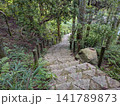 広島県 三原市 三景園の深い緑に包まれた石畳の階段と散策路 広島県 三原市 三景園の深い緑に包まれた石畳の階段と散策路 141789873