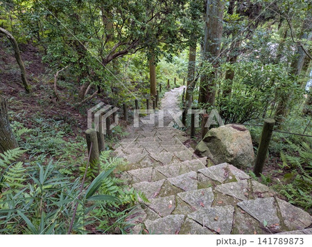 広島県 三原市 三景園の深い緑に包まれた石畳の階段と散策路 広島県 三原市 三景園の深い緑に包まれた石畳の階段と散策路 141789873