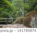 広島県 三原市 三景園の三段の滝と青モミジ広がる日本庭園 広島県 三原市 三景園の三段の滝と青モミジ広がる日本庭園 141789874
