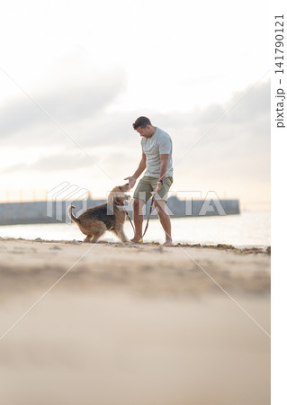 Man in gray t-shirt and shorts plays with brown dog on sandy beach near water, with distant pier and cloudy sky in the background. Airedale Terrier Man in gray t-shirt and shorts plays with brown dog on sandy beach near water, with distant pier and cloudy sky in the background. Airedale Terrier 141790121