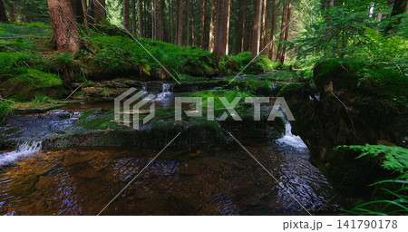 Crystal-clear forest stream flowing over moss-covered rocks through a lush green woodland, creating a peaceful natural landscape with fresh water and rich woodland vegetation. 141790178