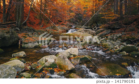 Crystal-clear mountain stream flowing through a vibrant autumn forest with golden foliage and large granite boulders. Peaceful wilderness landscape captured in warm natural light. Crystal-clear mountain stream flowing through a vibrant autumn forest with golden foliage and large granite boulders. Peaceful wilderness landscape captured in warm natural light. 141790191