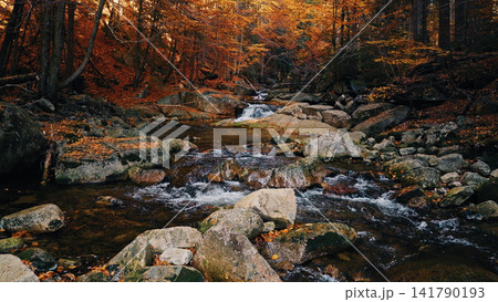 Crystal-clear mountain stream flowing through a vibrant autumn forest with golden foliage and large granite boulders. Peaceful wilderness landscape captured in warm natural light. Crystal-clear mountain stream flowing through a vibrant autumn forest with golden foliage and large granite boulders. Peaceful wilderness landscape captured in warm natural light. 141790193